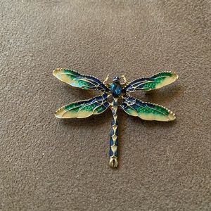 Gorgeous dragonfly brooch
